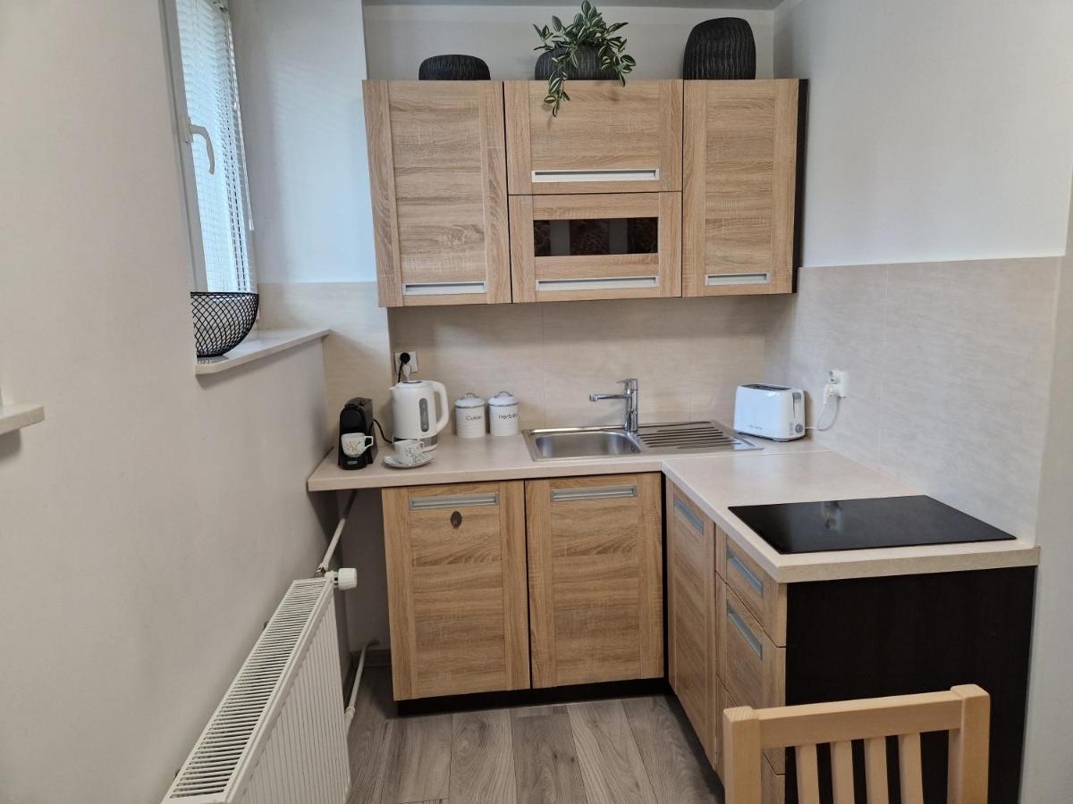Apartament W Srodmiesciu Sanok Bagian luar foto